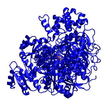 Structure preview of MDBind 1bxr