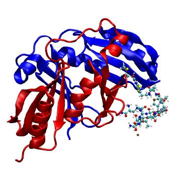 Structure preview of MDBind 2a4w 2