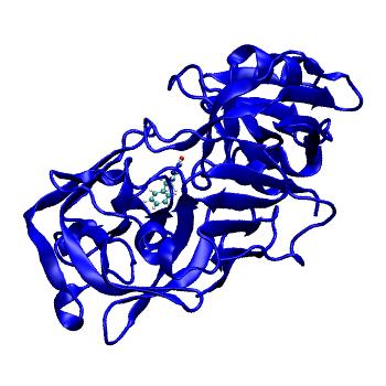 Structure preview of MDBind 2v00