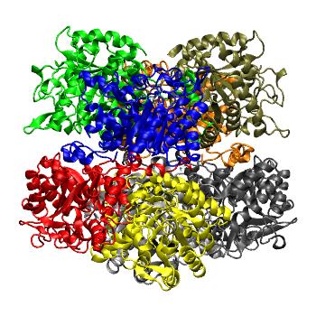 Structure preview of MDBind 2woq