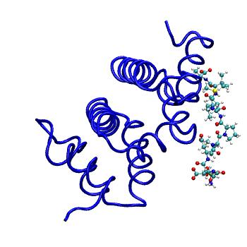 Structure preview of MDBind 3g2t