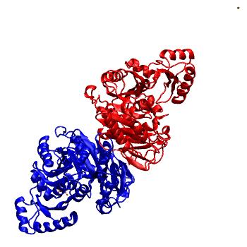 Structure preview of MDBind 3rv4
