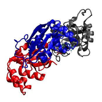 Structure preview of MDBind 4cp5