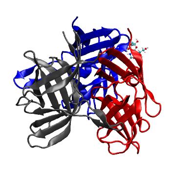 Structure preview of MDBind 4d62 1