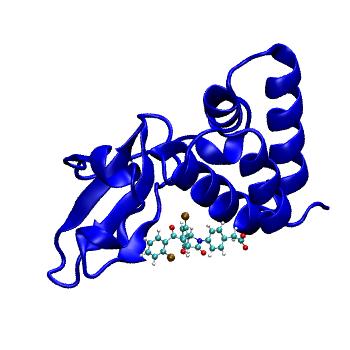Structure preview of MDBind 4ibc