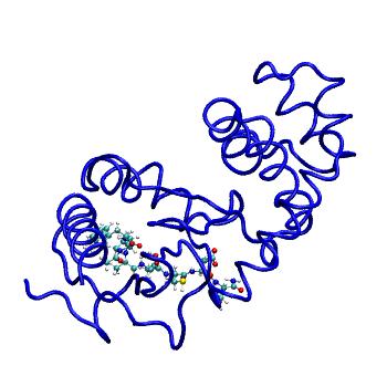 Structure preview of MDBind 4od7 1