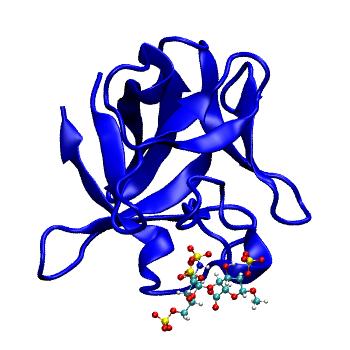 Structure preview of MDBind 4oeg