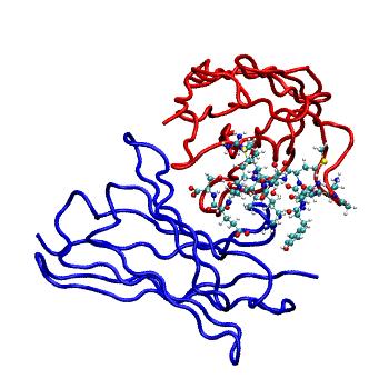 Structure preview of MDBind 4qy8