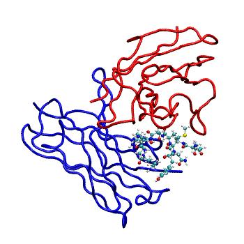 Structure preview of MDBind 4qyo 1