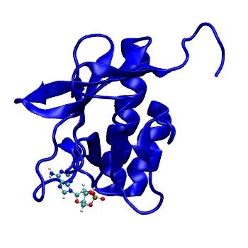 Structure preview of MDBind 5btx