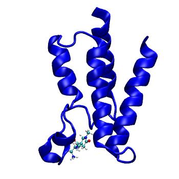 Structure preview of MDBind 6fg6