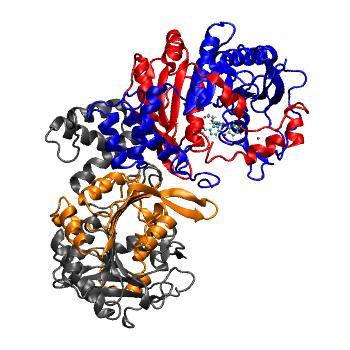 Structure preview of MDBind 4az0