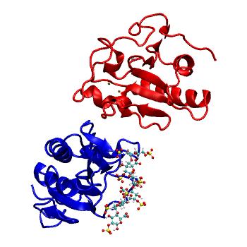 Structure preview of MDBind 4c4n 3
