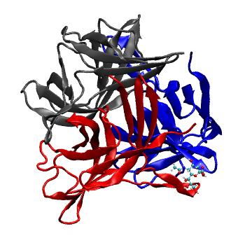 Structure preview of MDBind 4d62 2