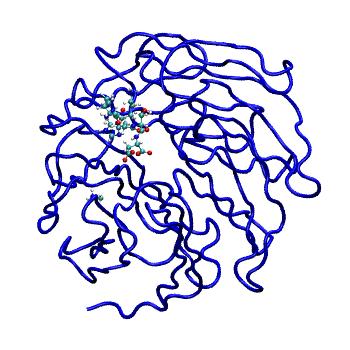 Structure preview of MDBind 4j81