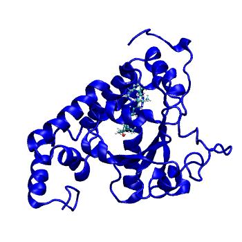 Structure preview of MDBind 4omj