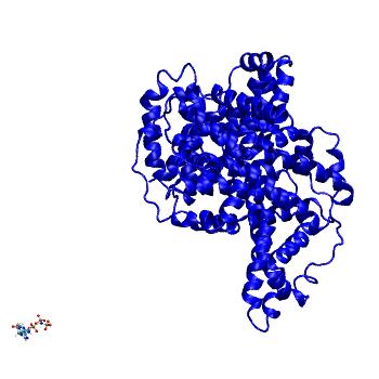 Structure preview of MDBind 4po0