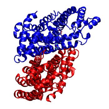 Structure preview of MDBind 4pvx