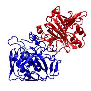 Structure preview of MDBind 4qjo