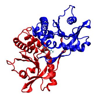Structure preview of MDBind 4qxr