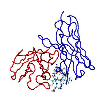 Structure preview of MDBind 4qxt 2