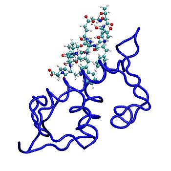 Structure preview of MDBind 4ud7