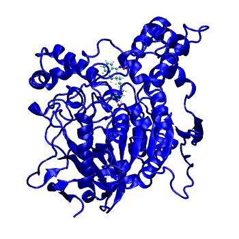 Structure preview of MDBind 5bwc