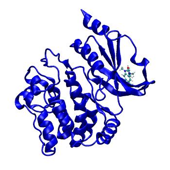 Structure preview of MDBind 5dey
