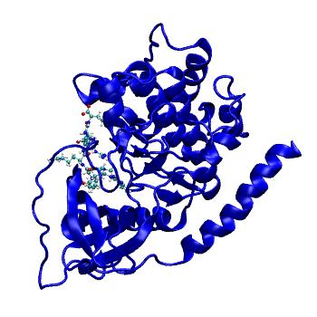 Structure preview of MDBind 5j5x 3