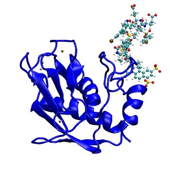 Structure preview of MDBind 5l7f