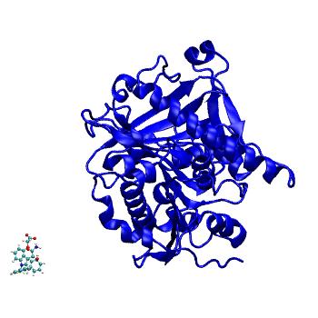 Structure preview of MDBind 5lyy