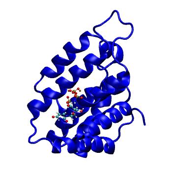 Structure preview of MDBind 5myd