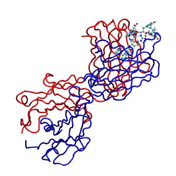 Structure preview of MDBind 5myo 2