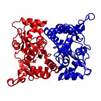 Structure preview of MDBind 5ng9 2
