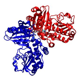Structure preview of MDBind 5o4z