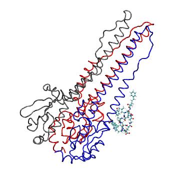 Structure preview of MDBind 5w5s 2