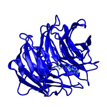 Structure preview of MDBind 6dai