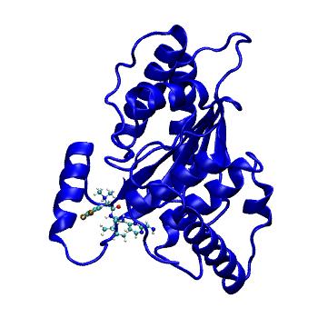 Structure preview of MDBind 6fdu