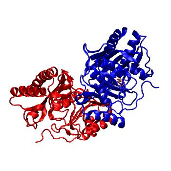 Structure preview of MDBind 6giu