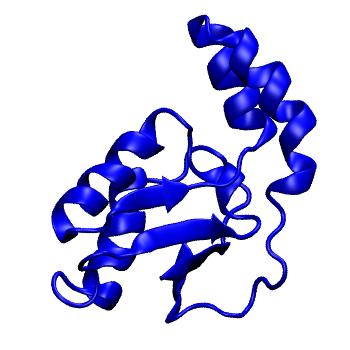 Structure preview of mdCATH 1amiA02