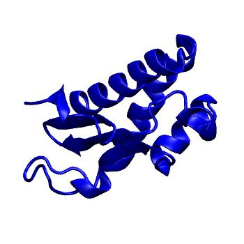 Structure preview of mdCATH 3djnB00
