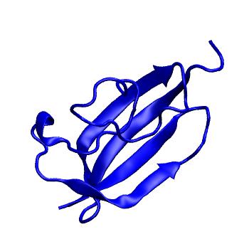 Structure preview of mdCATH 1bmlC03