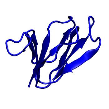 Structure preview of mdCATH 1c01A00