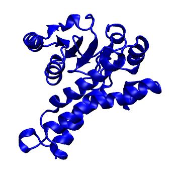 Structure preview of mdCATH 1c1dA02