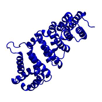 Structure preview of mdCATH 1w9cA00