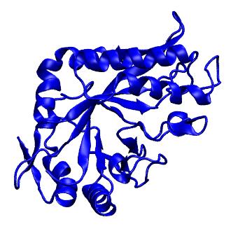 Structure preview of mdCATH 1c3fA00