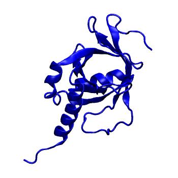 Structure preview of mdCATH 2l23A00