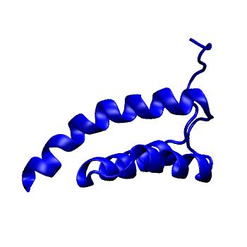 Structure preview of mdCATH 1w36C06