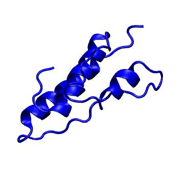 Structure preview of mdCATH 2kinB01