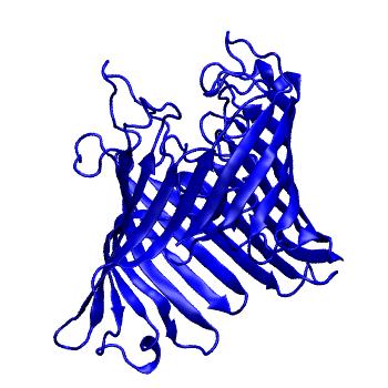 Structure preview of mdCATH 1a0sP00
